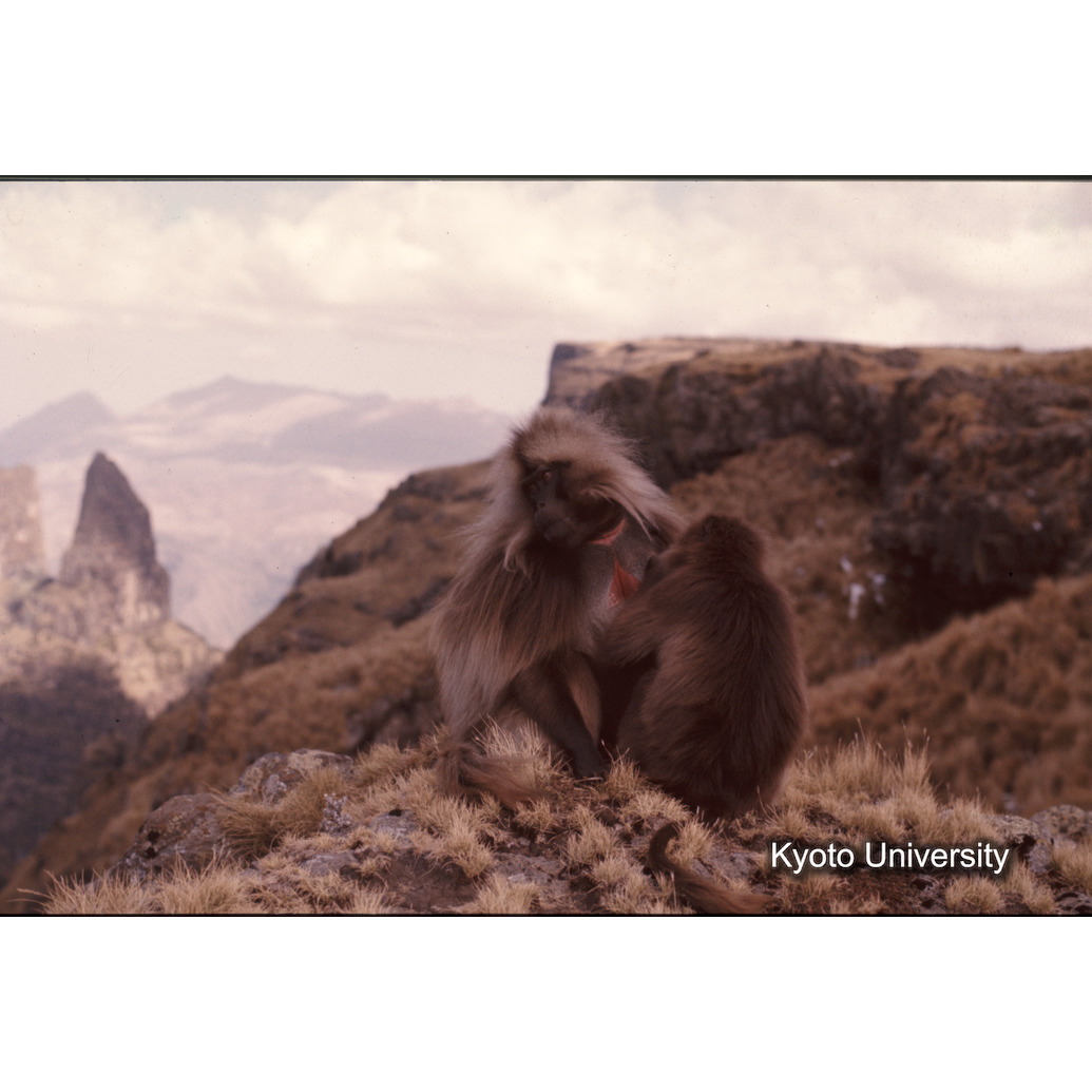 Sm　1973　1236 (1)