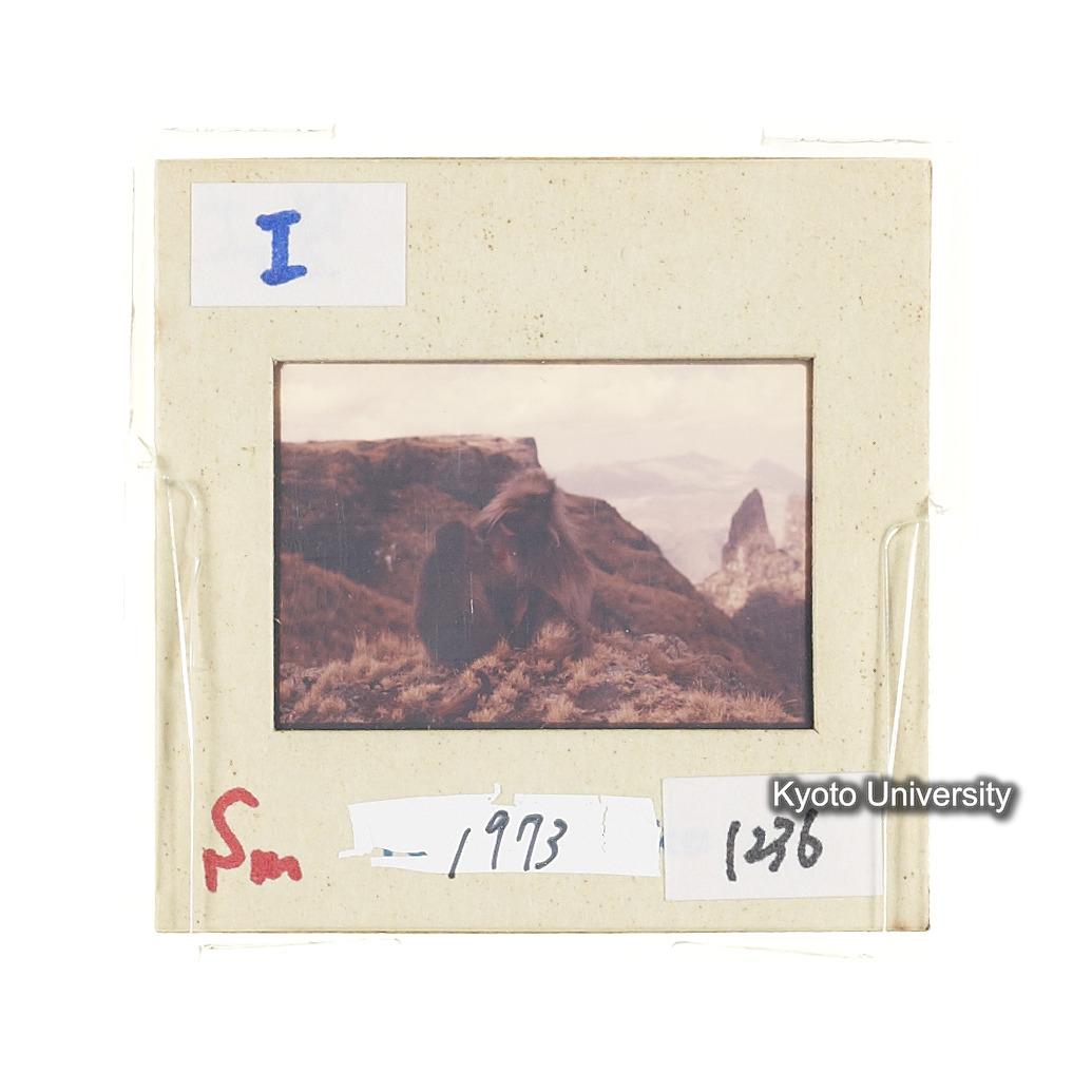 Sm　1973　1236 (2)