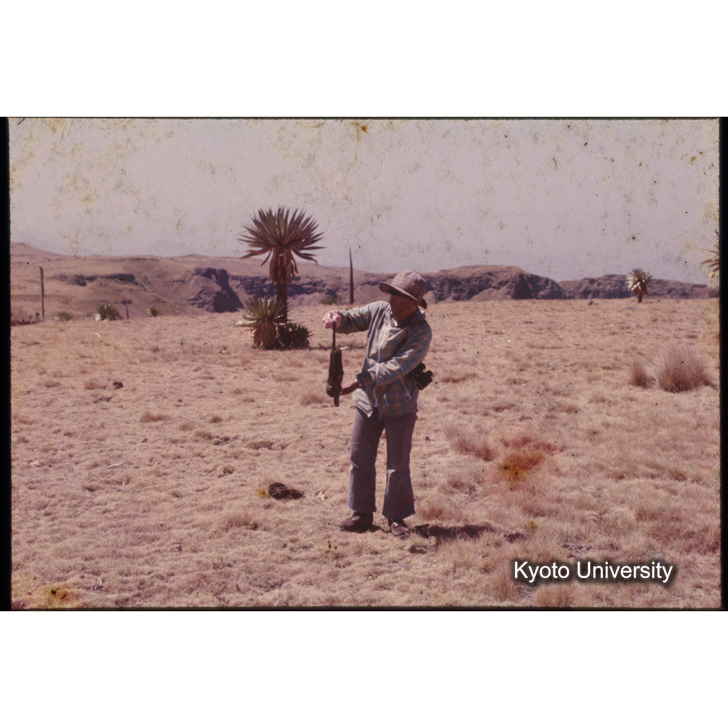 Sm　1973　1410 (1)