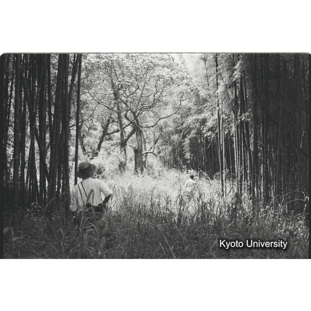 [10コマ目]「調査」 (1)