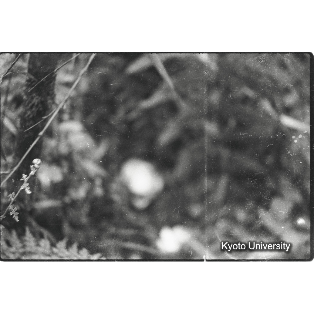 [9コマ目]「×」 (1)