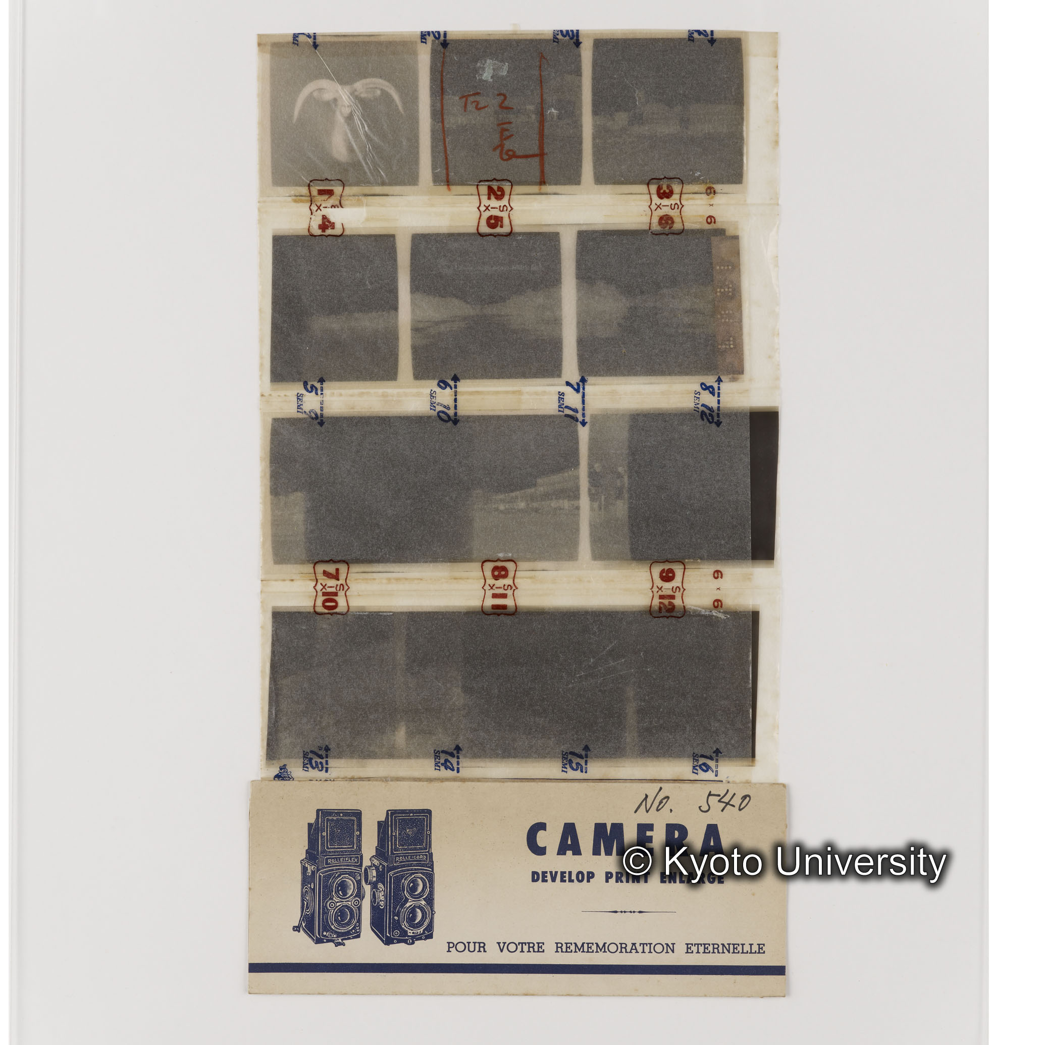 [ネガフィルムスリーブ8]「５４０」 (1)