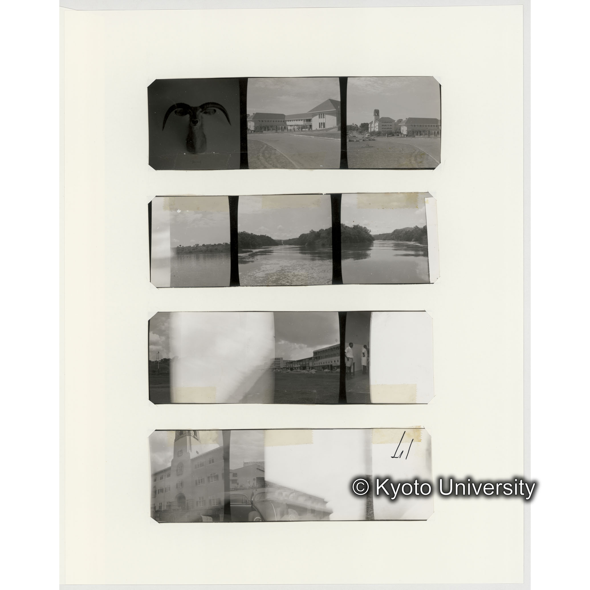 [ネガフィルムスリーブ8]「５４０」 (2)