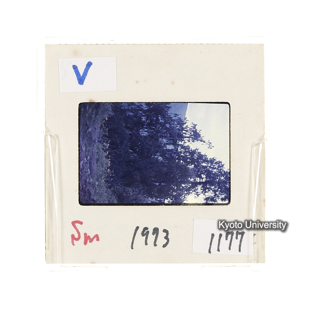 Sm　1973　1177 (2)