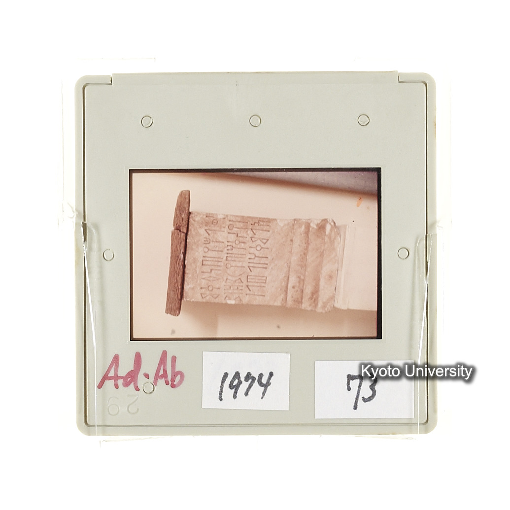 AdAb　1974　73 (2)