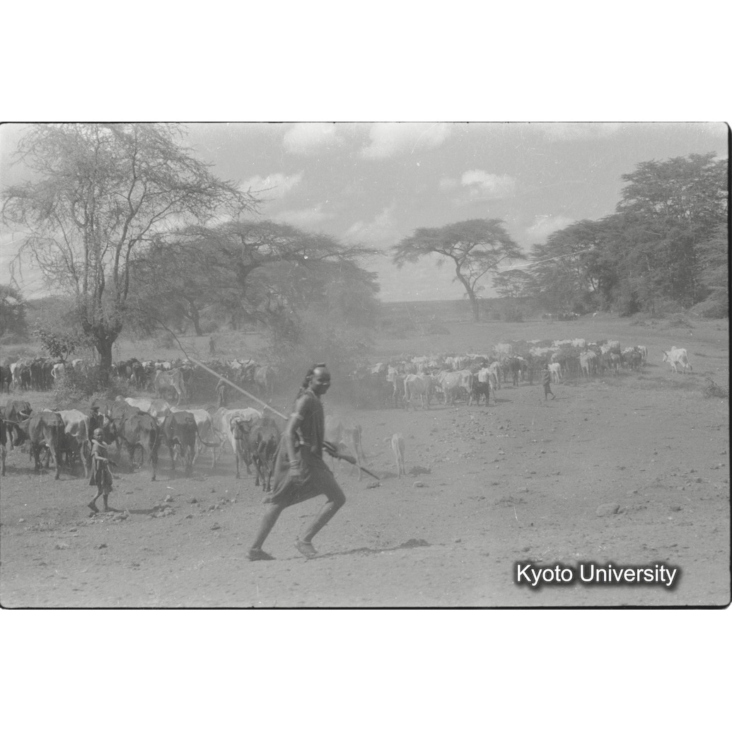 [21コマ目]「マサイ族」 (1)