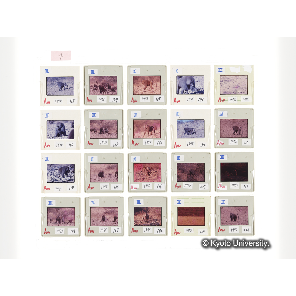 [スライドシート] 4 (1)