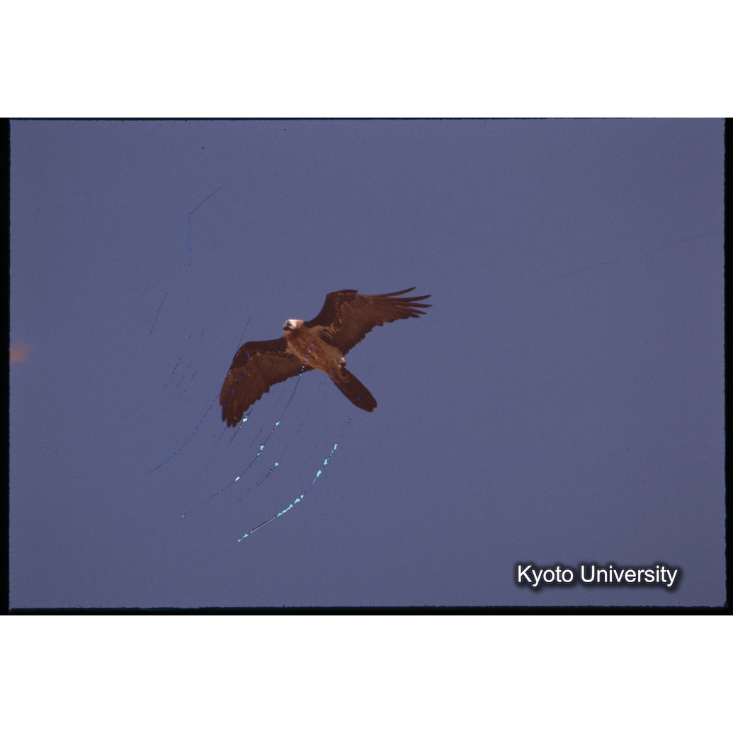 Sm　1973　1002 (1)