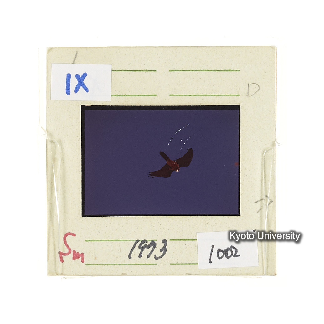 Sm　1973　1002 (2)