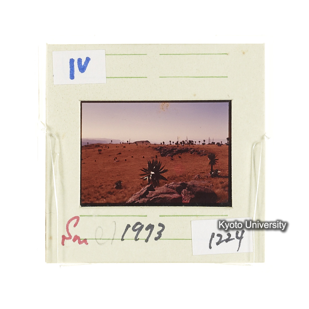 Sm　1973　1224 (2)