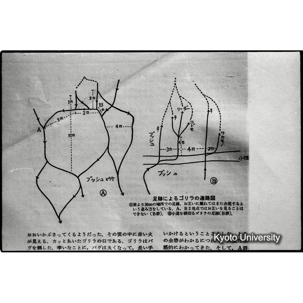 [２１コマ目]「資料のまとめ（成果）」 (1)