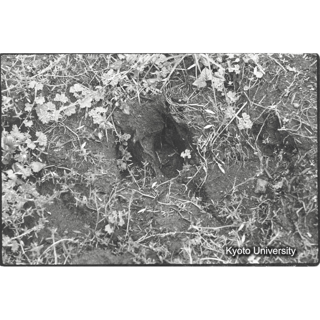 [30コマ目]「？」 (1)