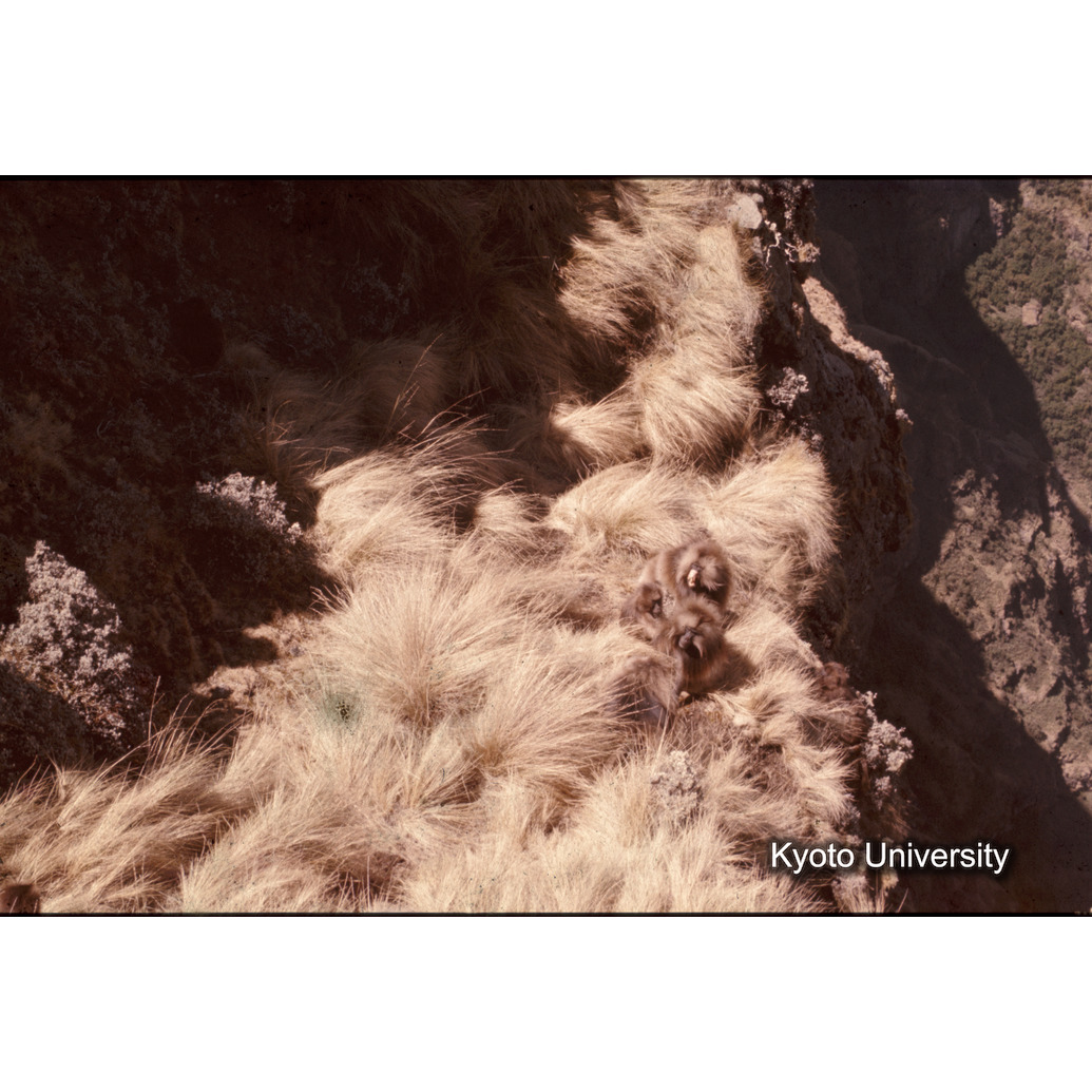 Sm　1973　1428 (1)