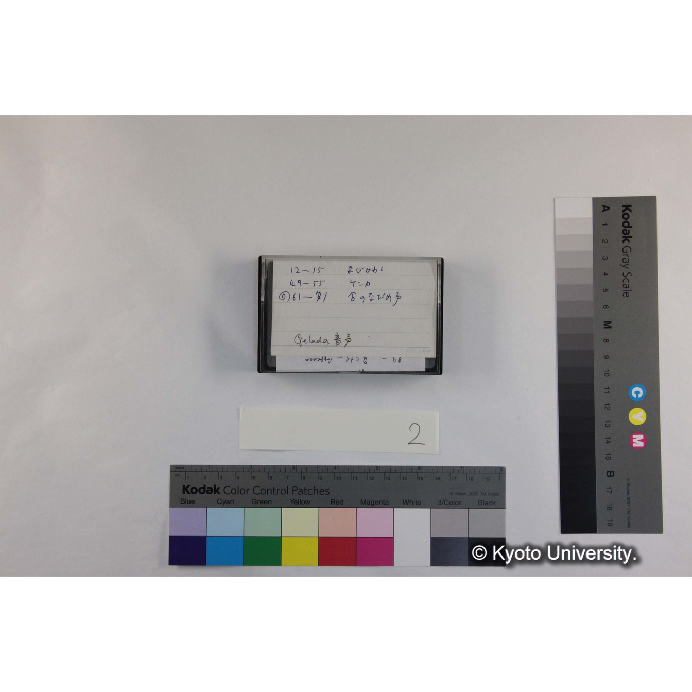 [ケース]2「Gelada音声」 (3)