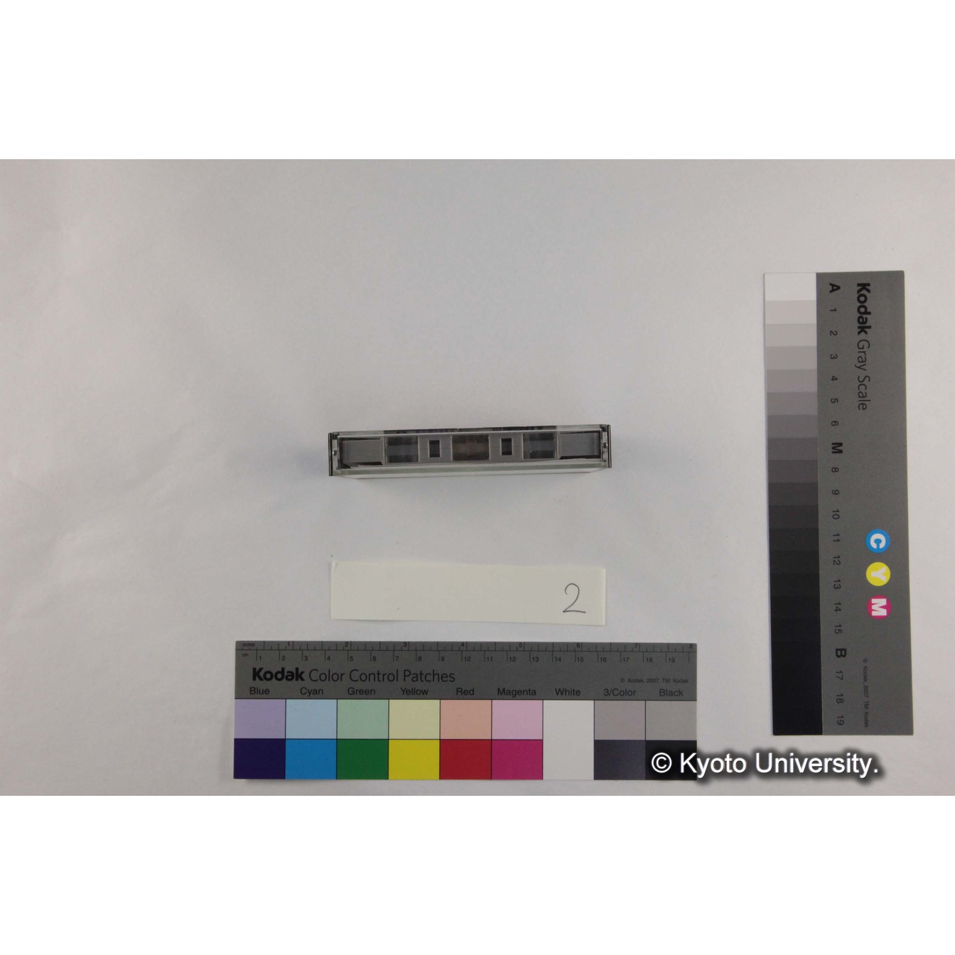 [ケース]2「Gelada音声」 (4)