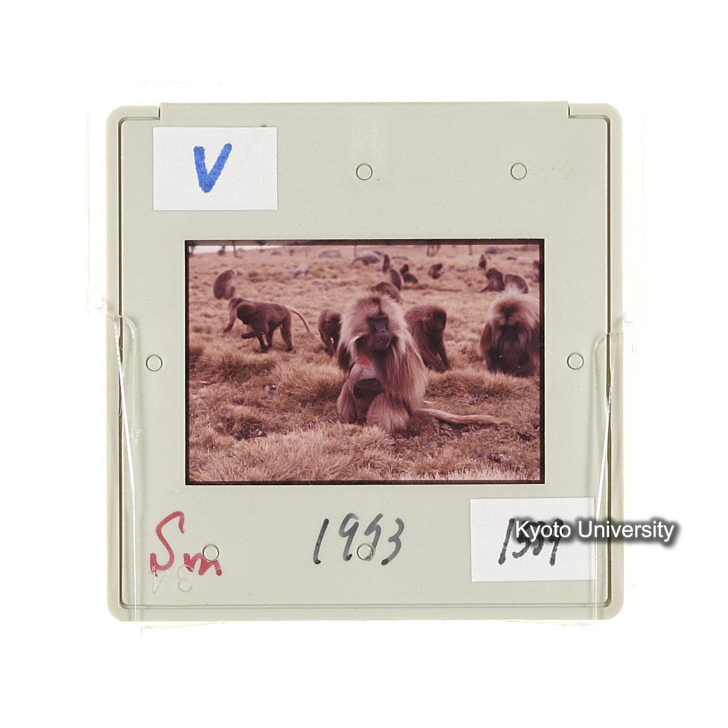 Sm　1973　1539 (2)