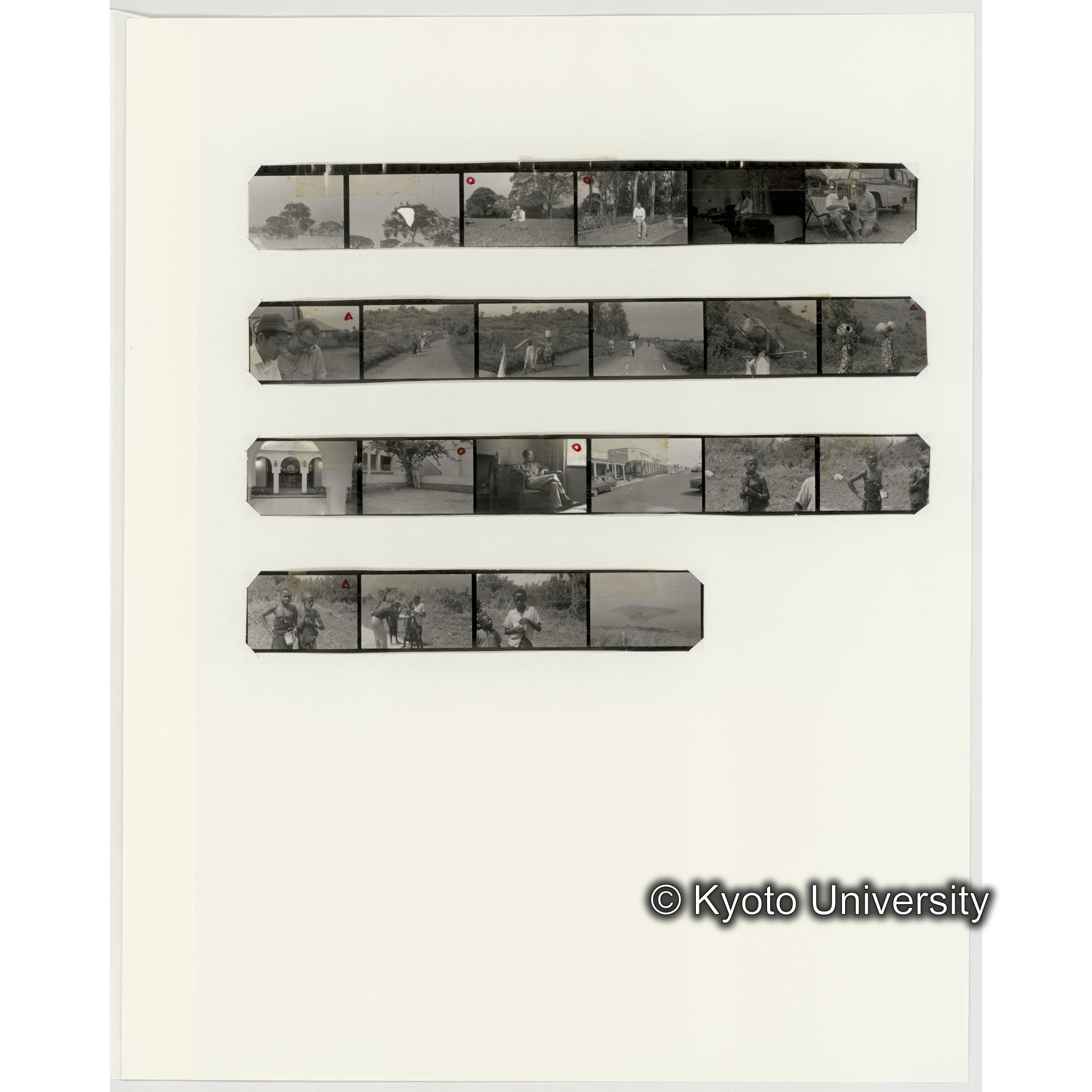 [ネガフィルムスリーブ7]「５３９」 (2)