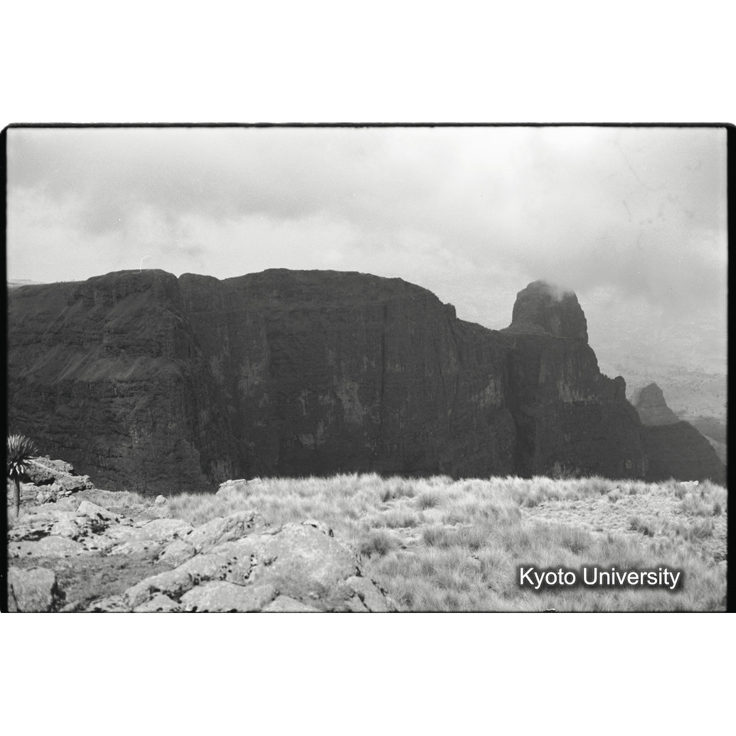 [４コマ目]「×」 (1)