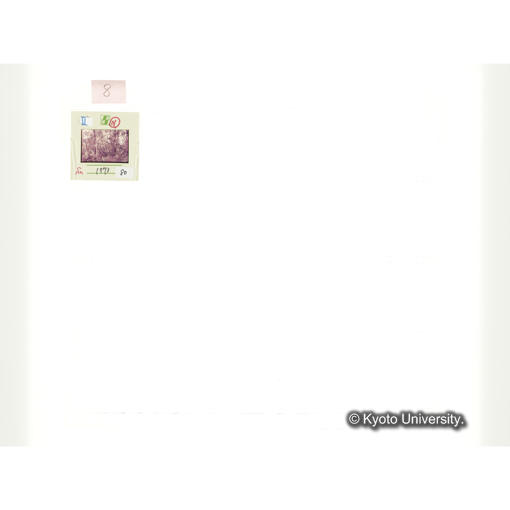 [スライドシート] 8 (1)