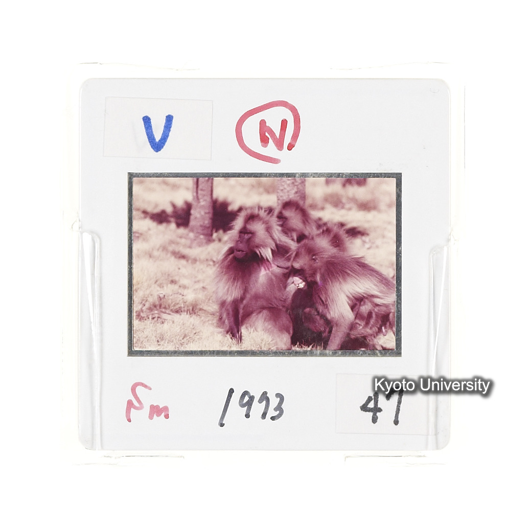 Sm　1973　47　（N）[赤色, 丸囲み] (2)