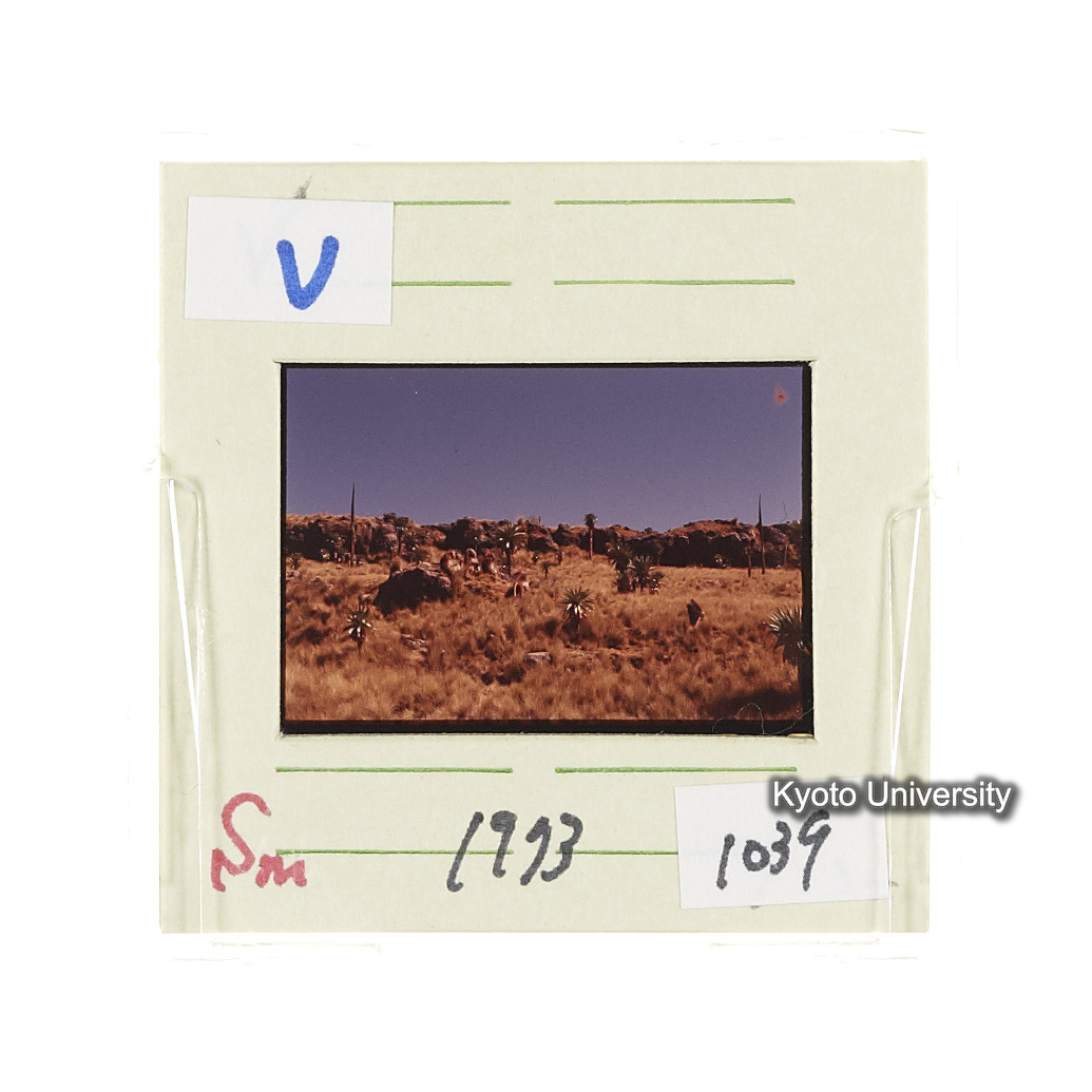 Sm　1973　1039 (2)