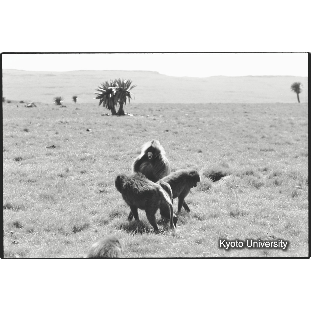 [２８コマ目]「アインユニット（３）」 (1)