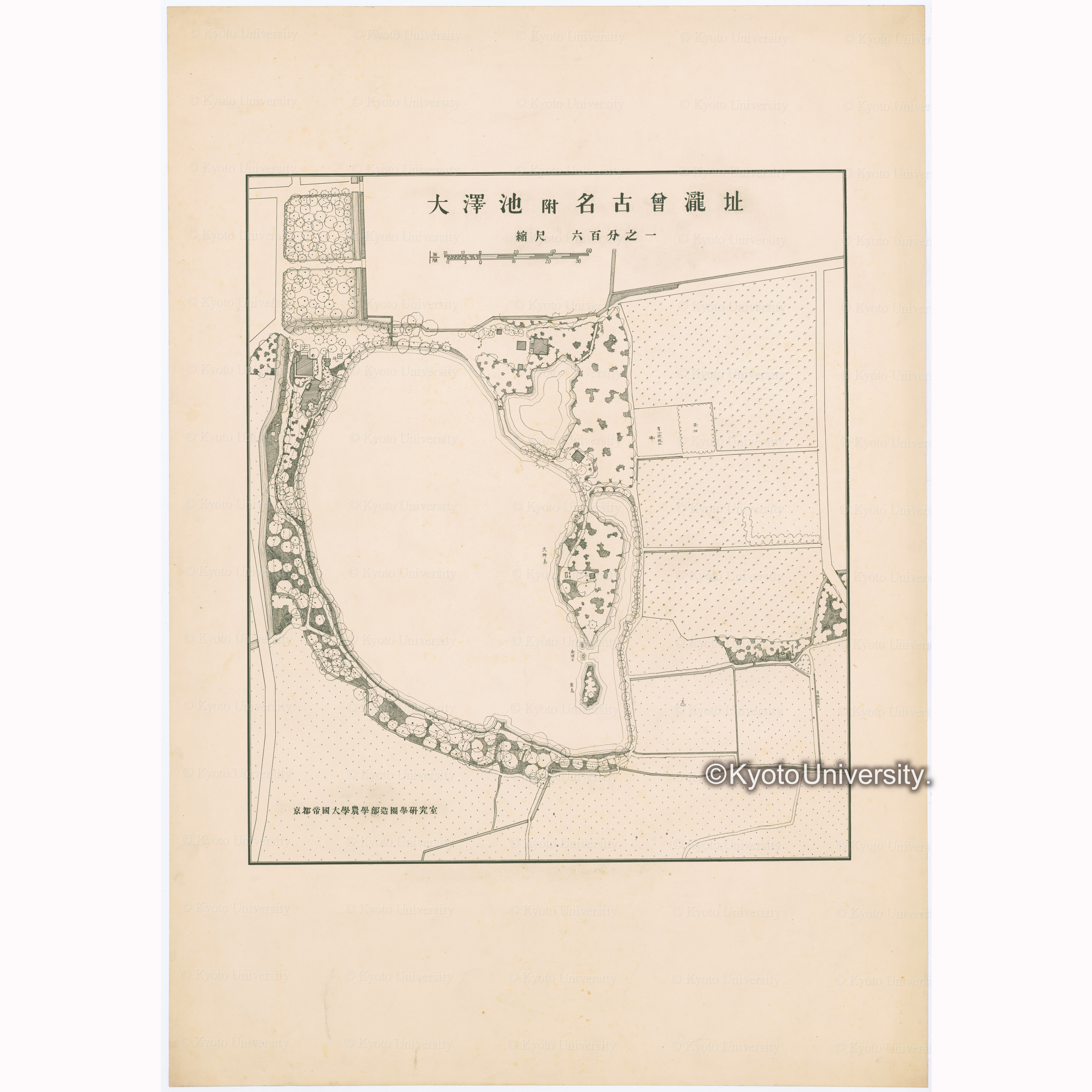 大澤池附名古曽瀧址　縮尺六百分之一　京都帝国大学農学部造園学研究室 (1)
