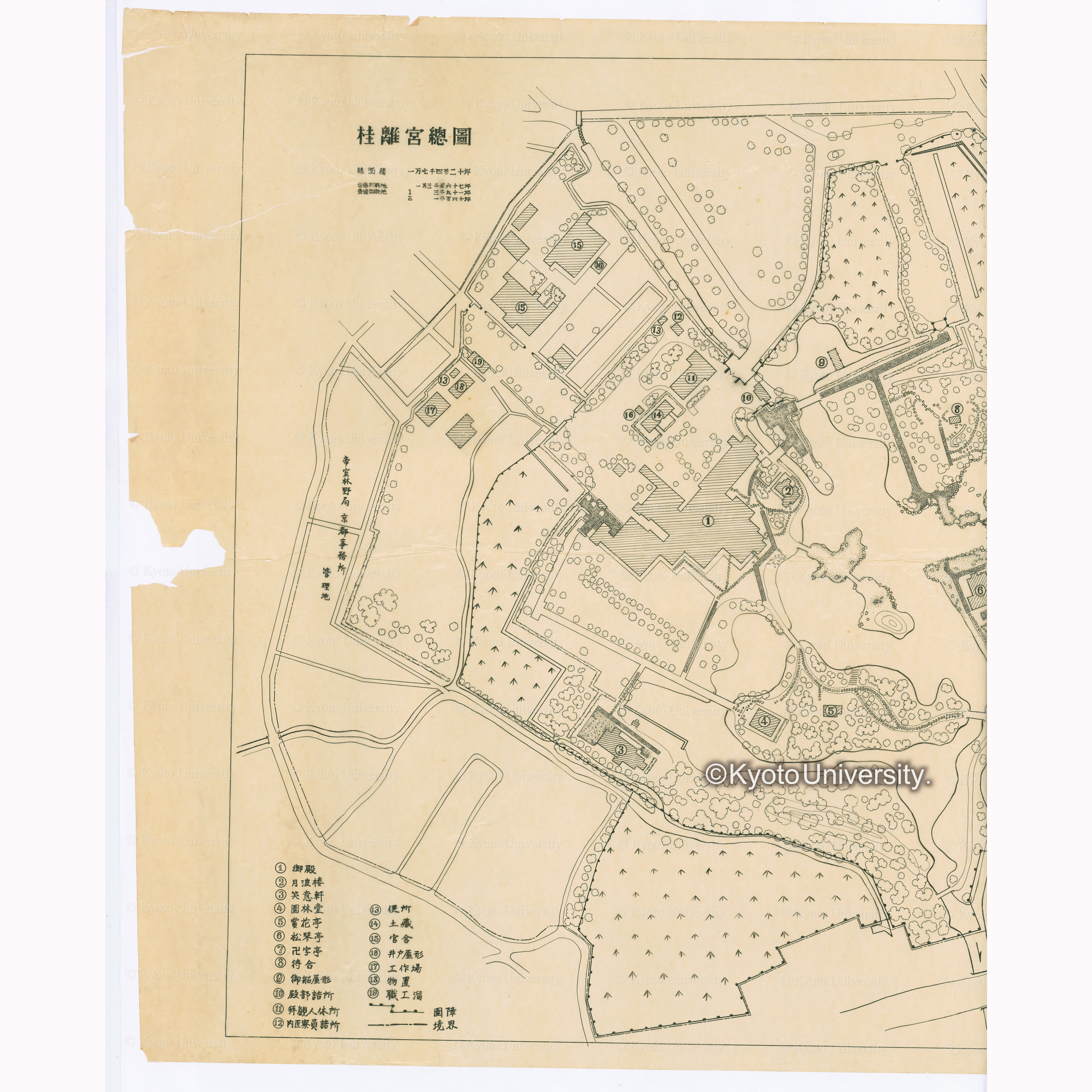 桂離宮総図　縮尺三百分之一 (1)