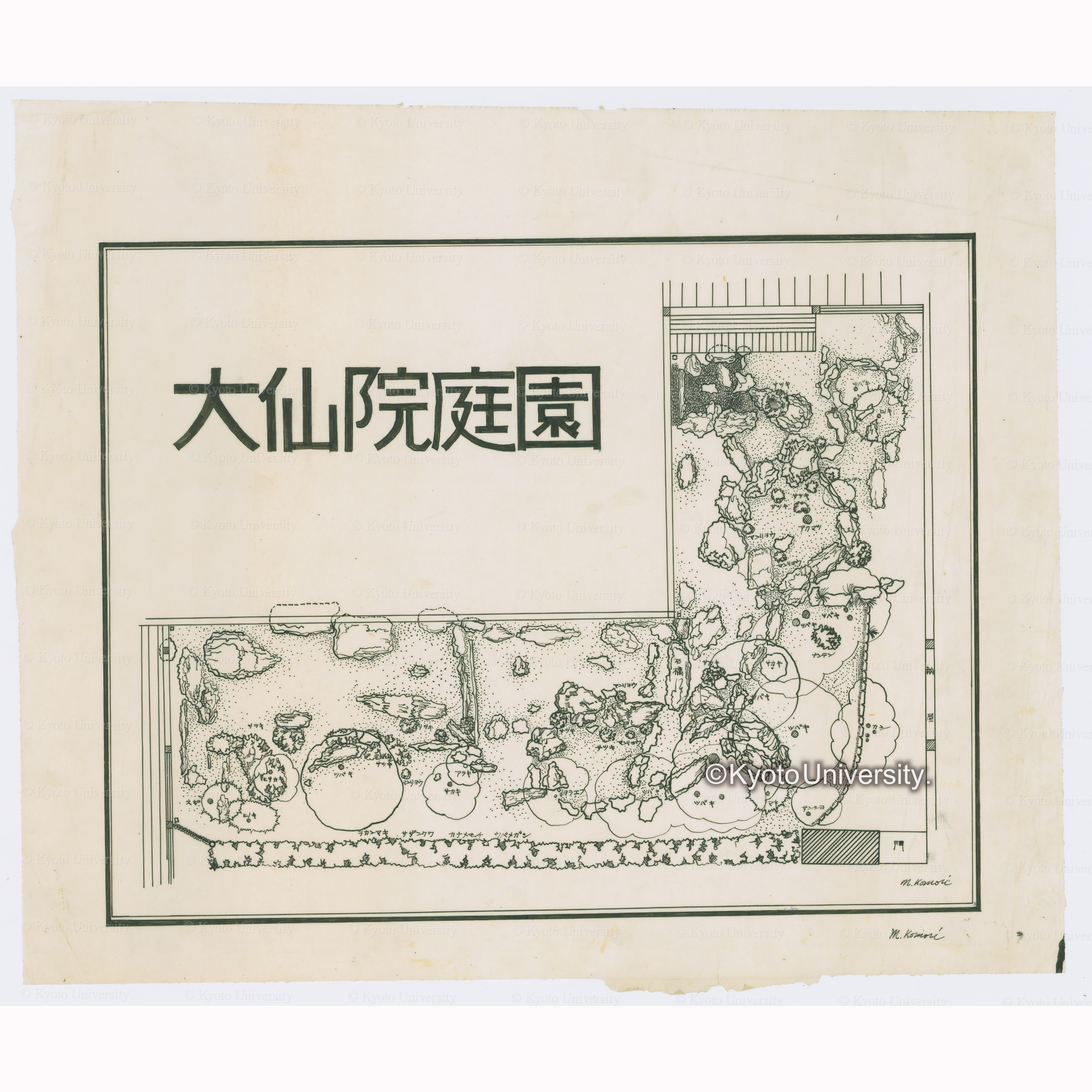 大仙院庭園　M.Komori (1)