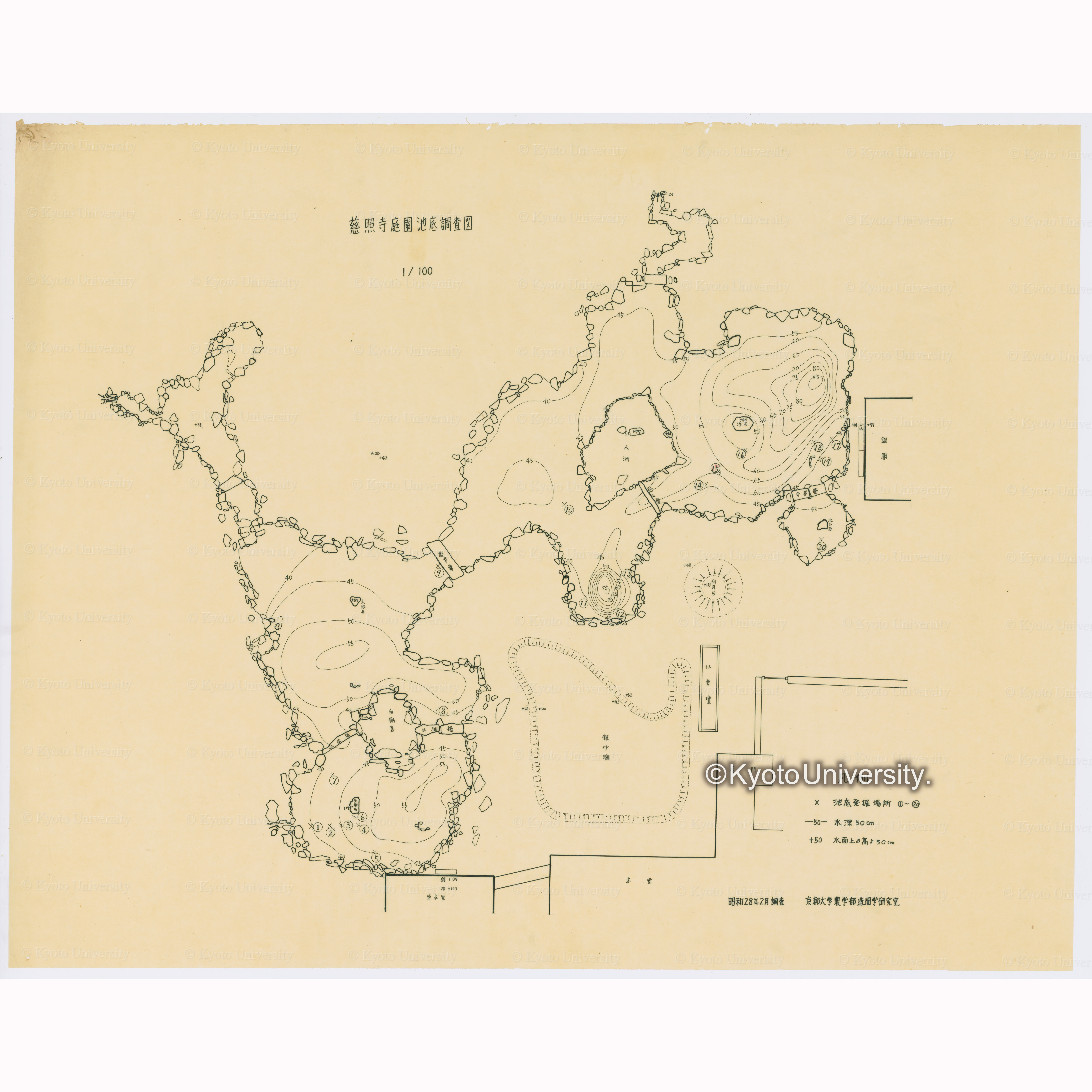 慈照寺庭園池底調査図　1/100　昭和28年2月調査　京都大学農学部造園学研究室 (1)