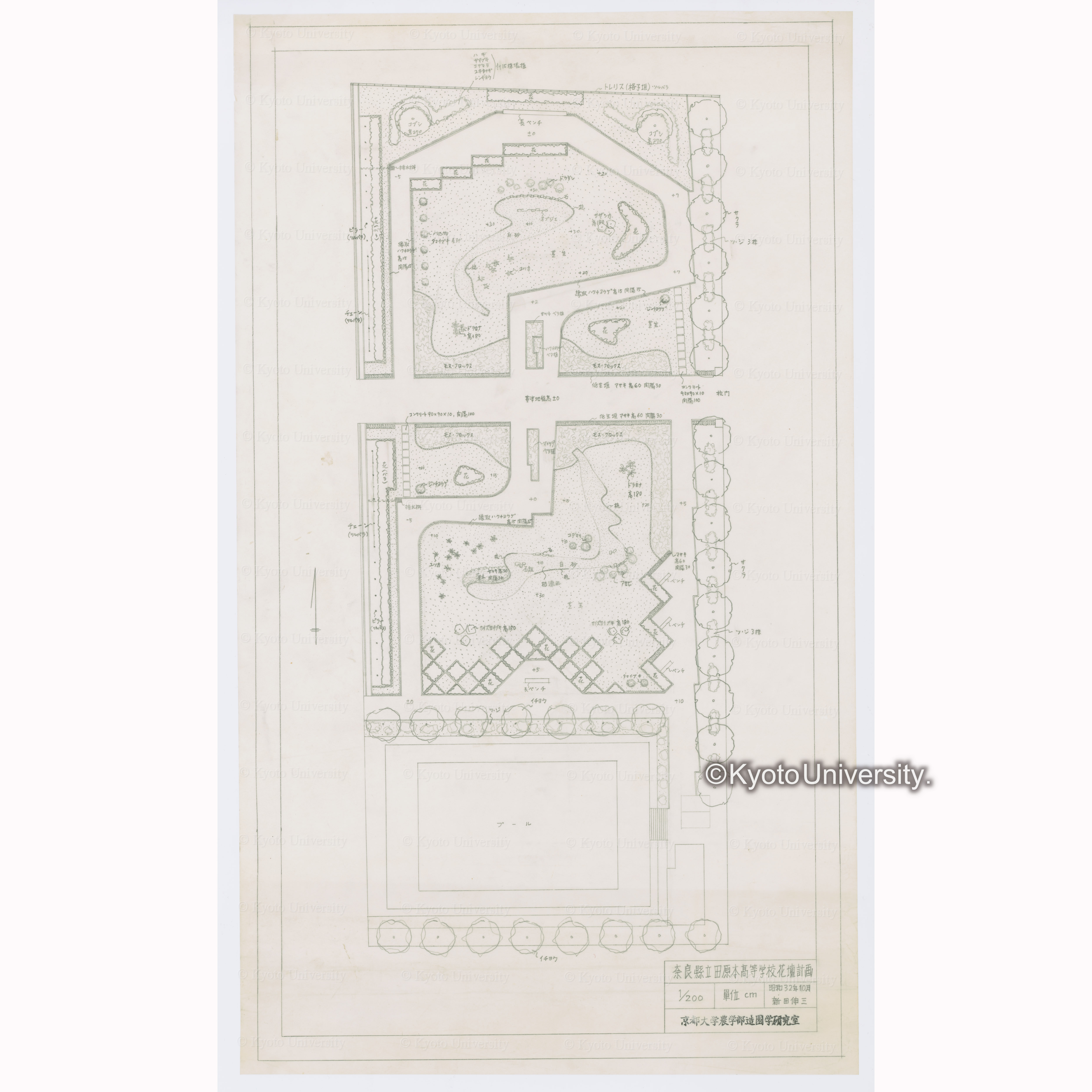 奈良県立田原本高等学校花壇計画　1/200　昭和32年10月　新田伸三　京都大学農学部造園学研究室 (1)