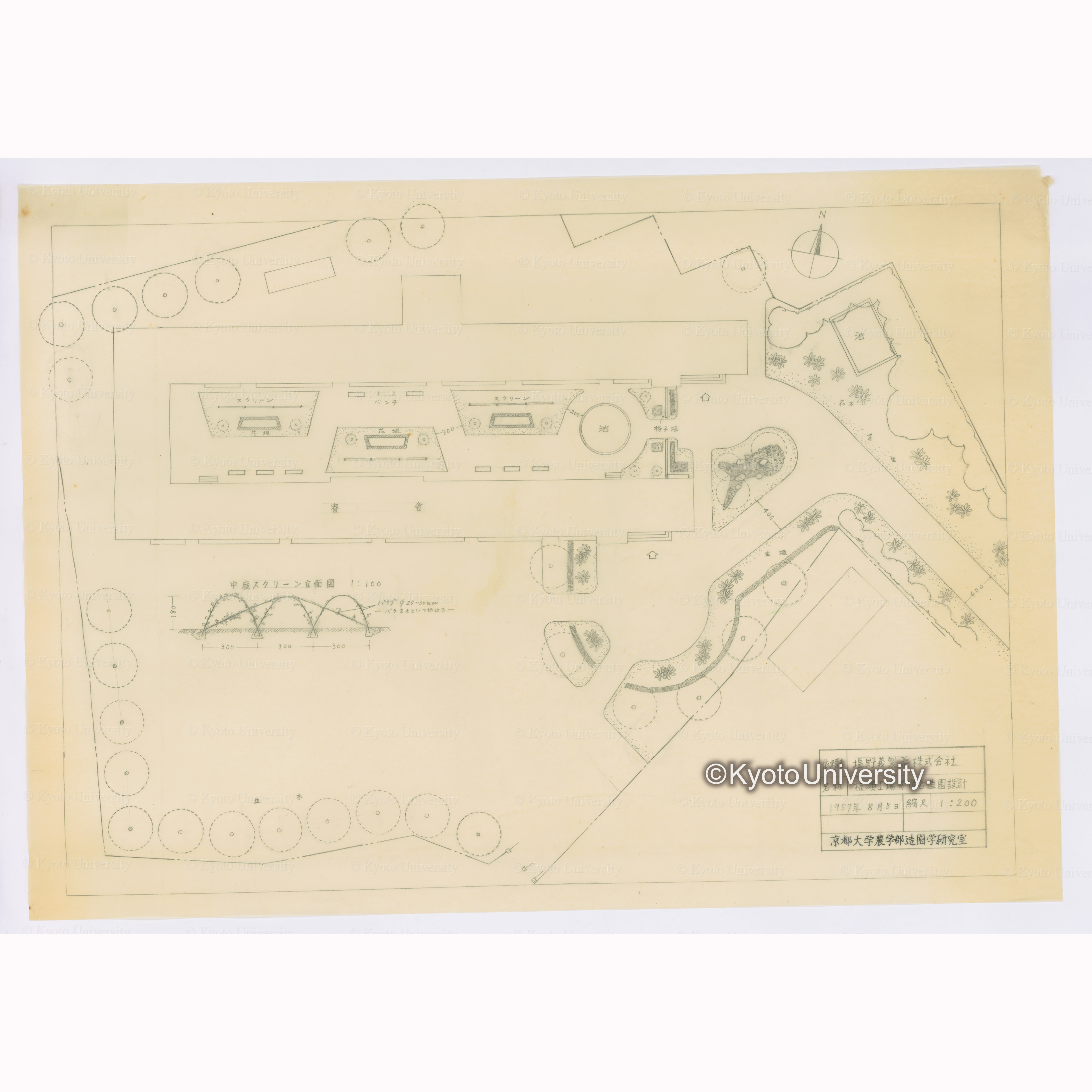塩野義製薬株式会社　杭瀬工場寄宿舎造園設計 1957年8月5日　1:200　京都大学農学部造園学研究室 (1)