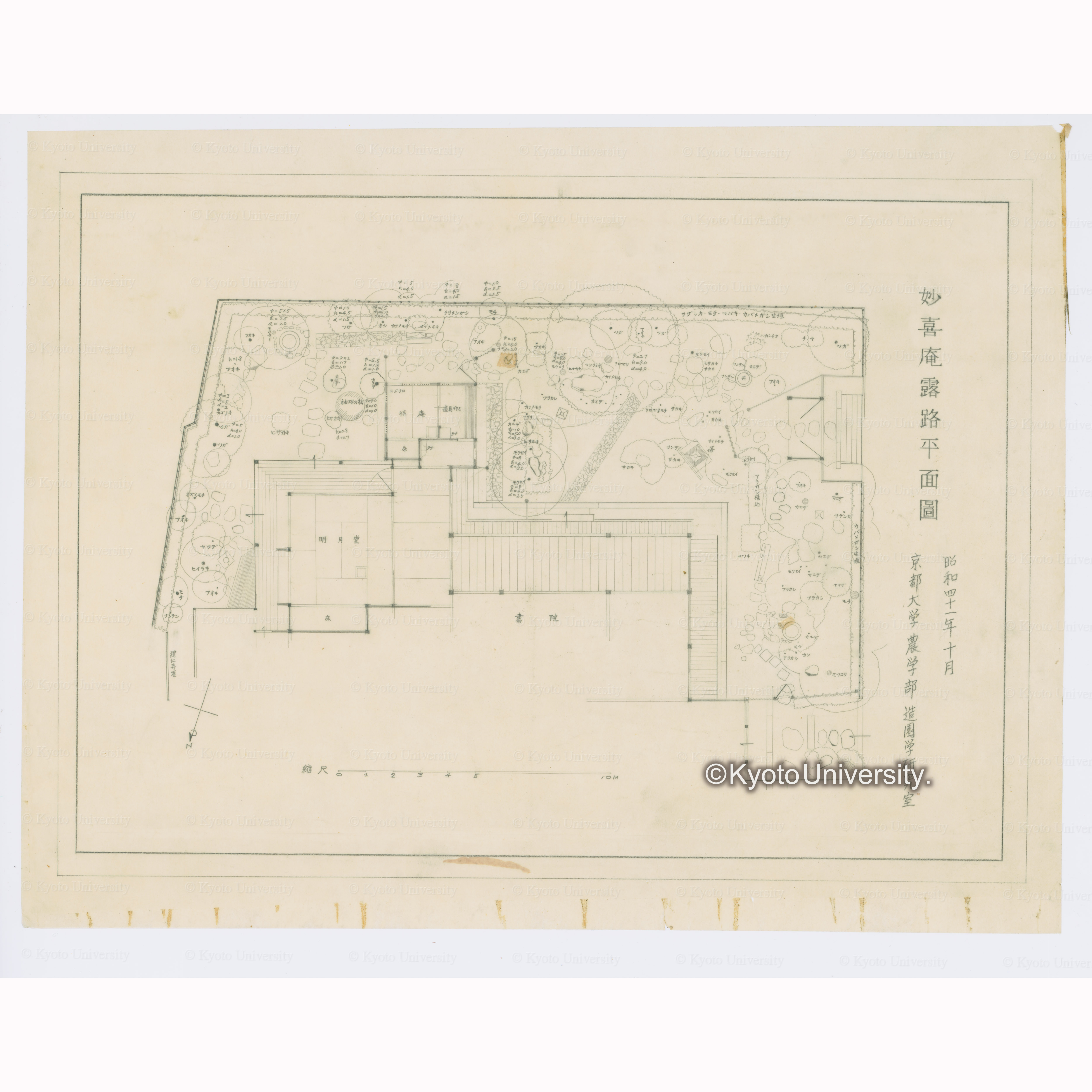 妙喜庵露地平面図　昭和四十一年十月　京都大学農学部造園学研究室 (1)