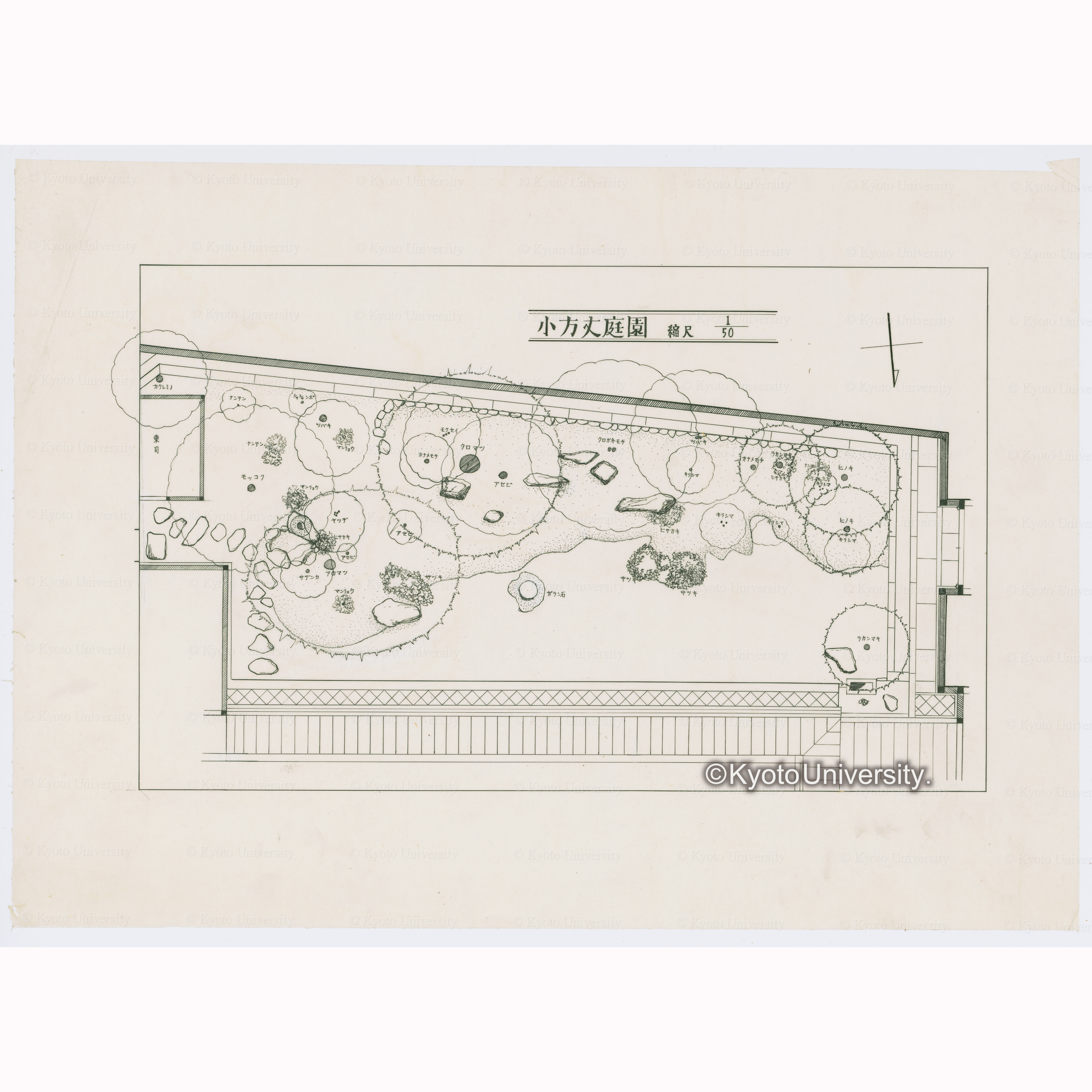 小方丈庭園　縮尺1/50 (1)