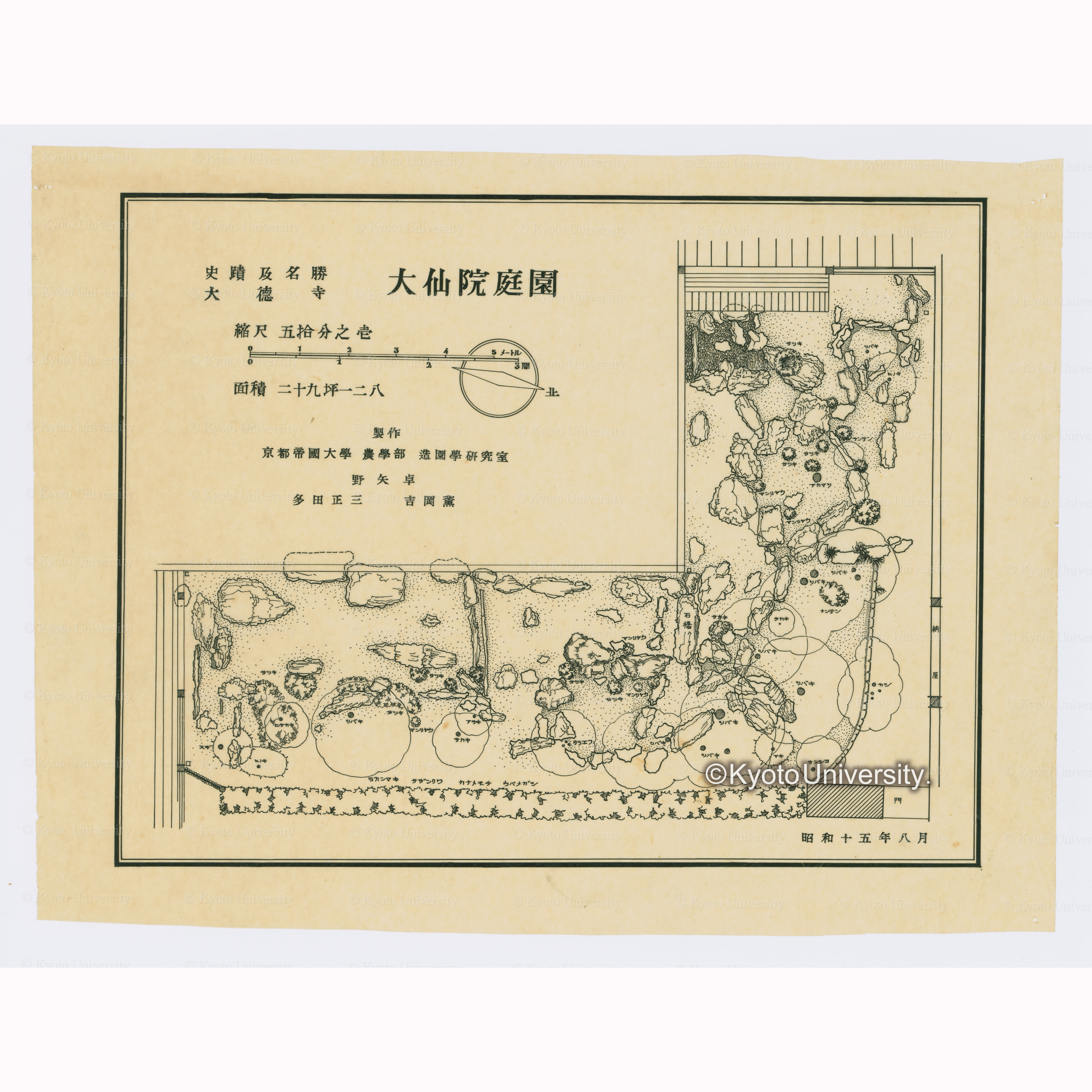 史蹟及名勝大徳寺大仙院庭園　縮尺五十分之一　面積二十九坪一二ハ　製作京都帝国大学農学部造園学研究室　野矢卓　多田正三　吉岡薫　昭和十五年八月 (1)