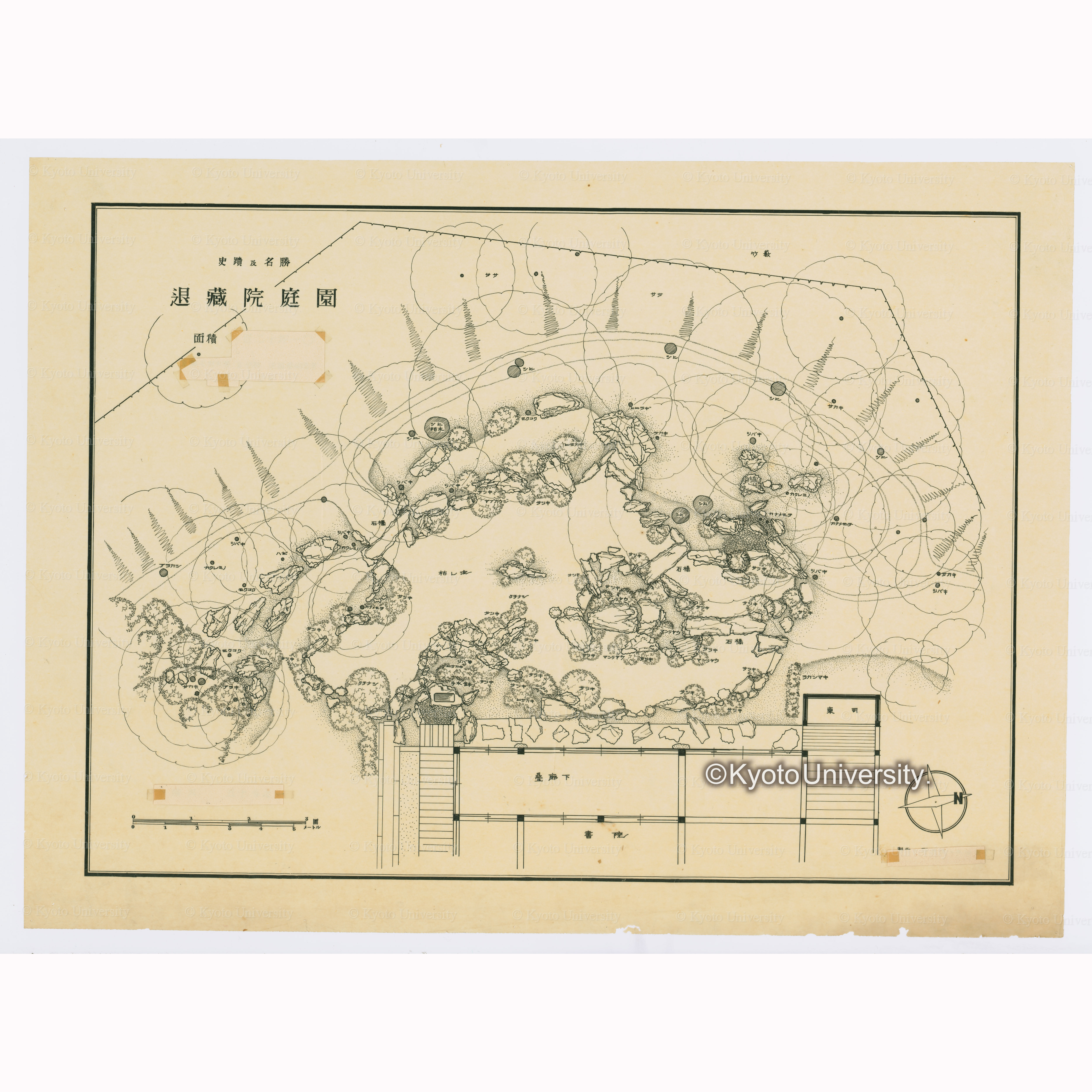 史蹟及名勝退蔵院庭園 (1)