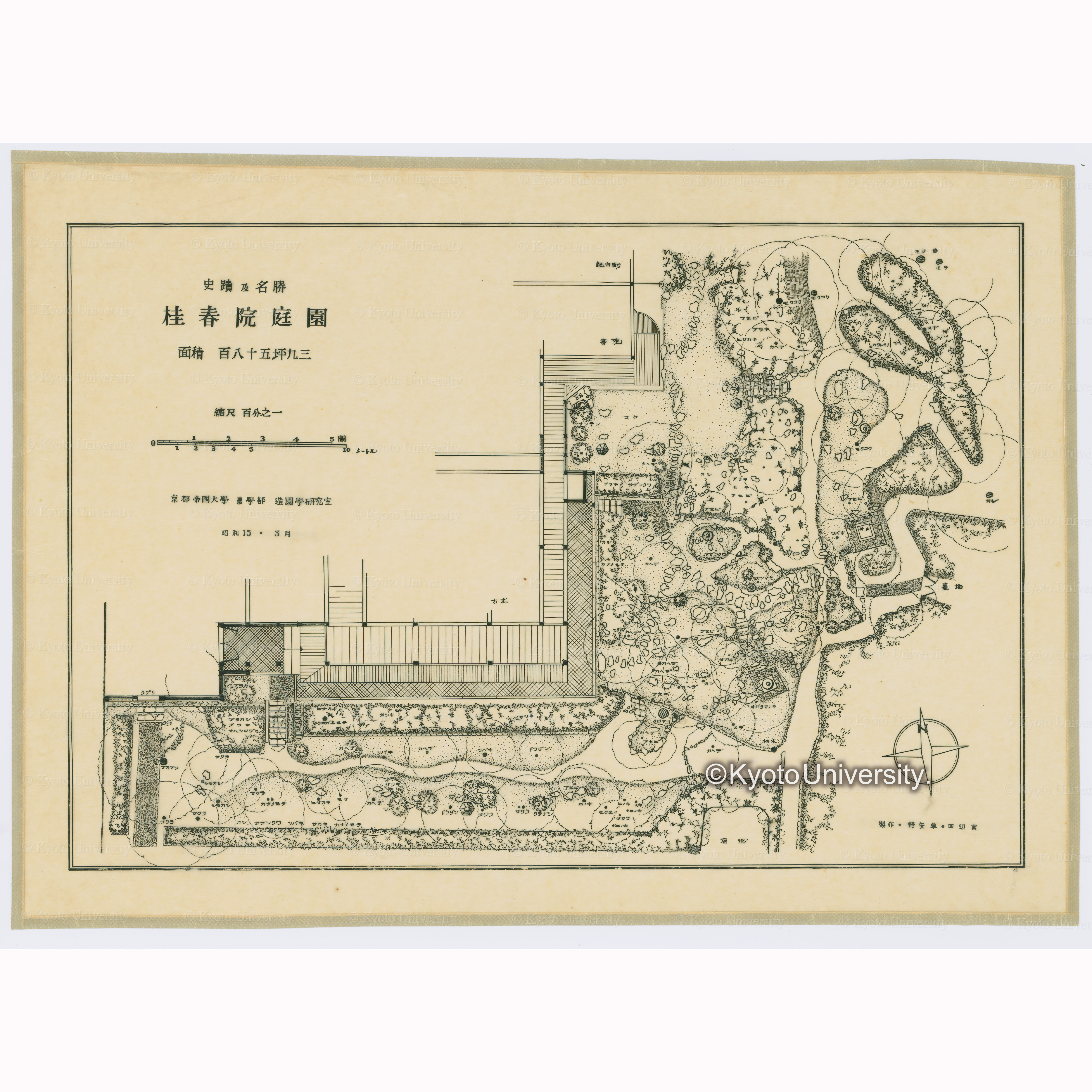史蹟及名勝桂春院庭園　面積百八十五坪九三　縮尺百分之一　京都帝国大学農学部造園学研究室　昭和15・3月　製作・野矢卓・田辺実 (1)