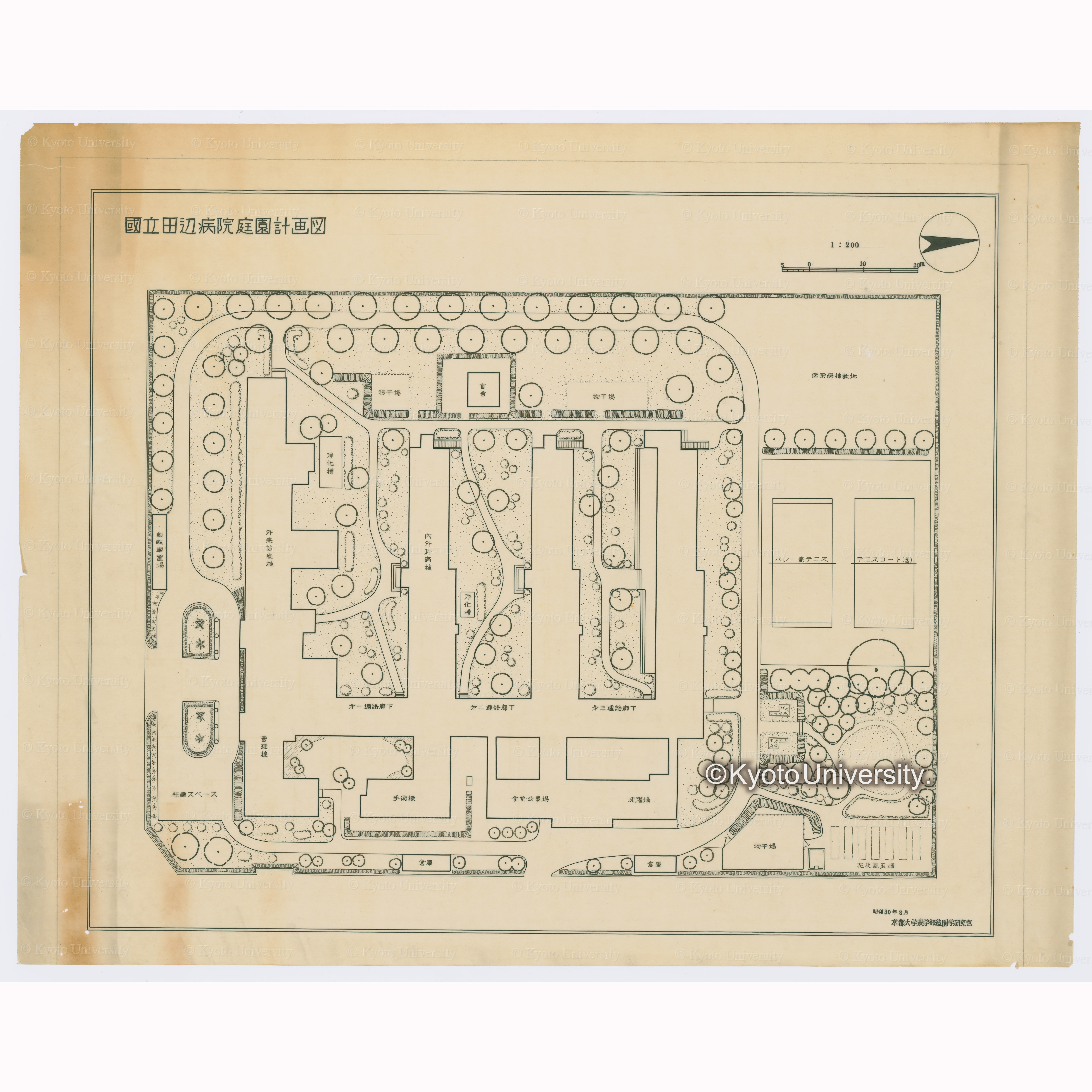 国立田辺病院庭園計画図　1：200　昭和30年8月　京都大学農学部造園学研究室 (1)